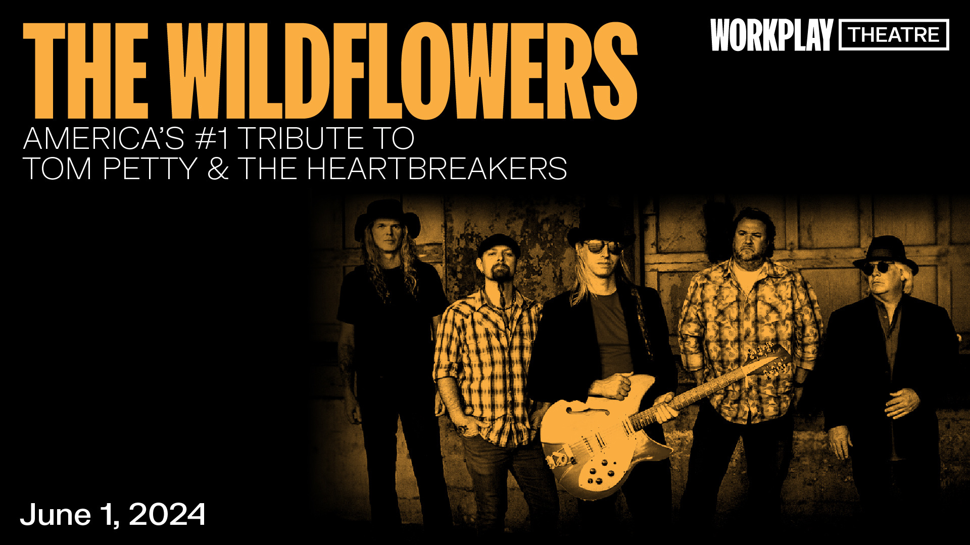 The Wildflowers in concert