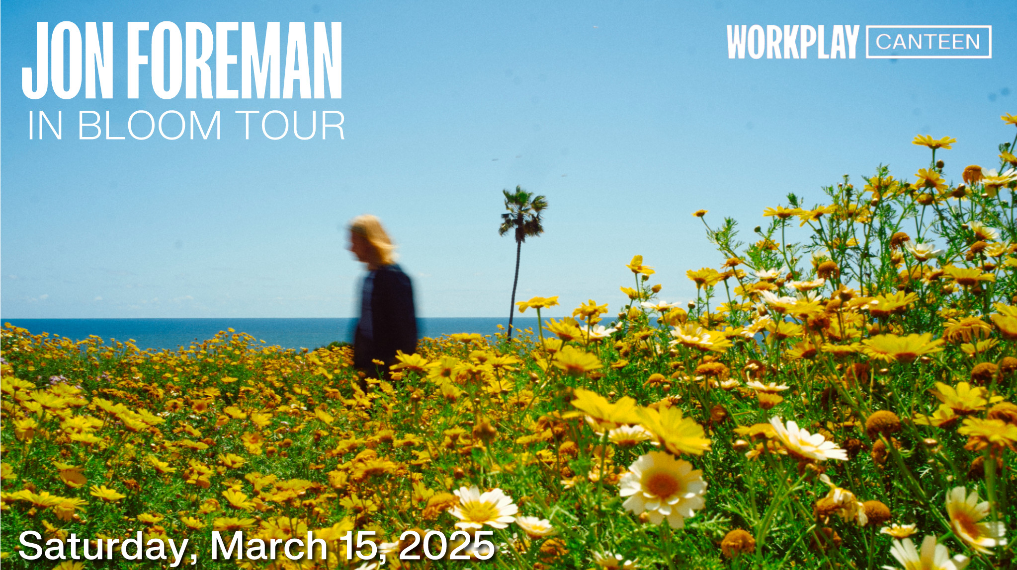 Jon Foreman in concert